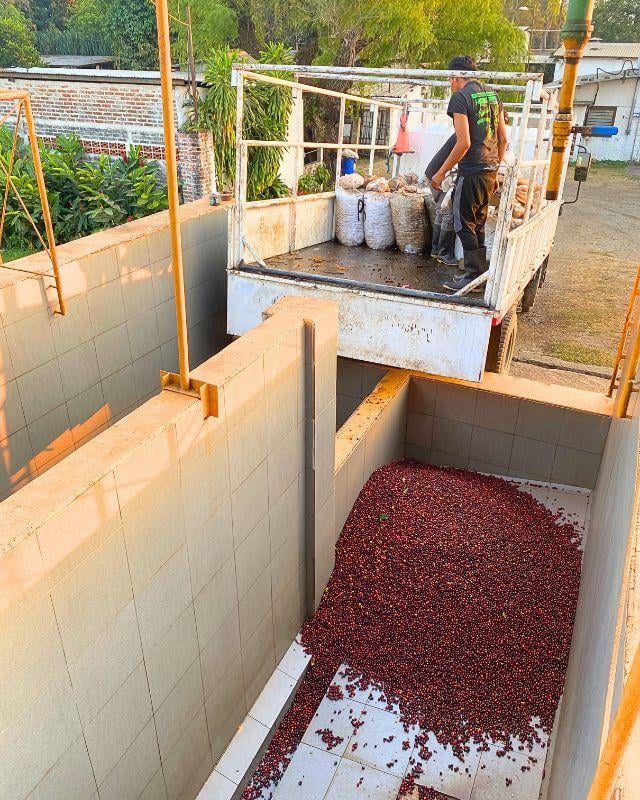 El Salvador / La Esperanza / Heirloom Natural