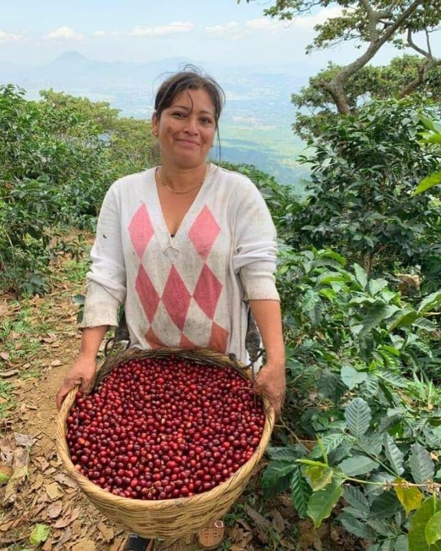 El Salvador / La Esperanza / Heirloom Natural