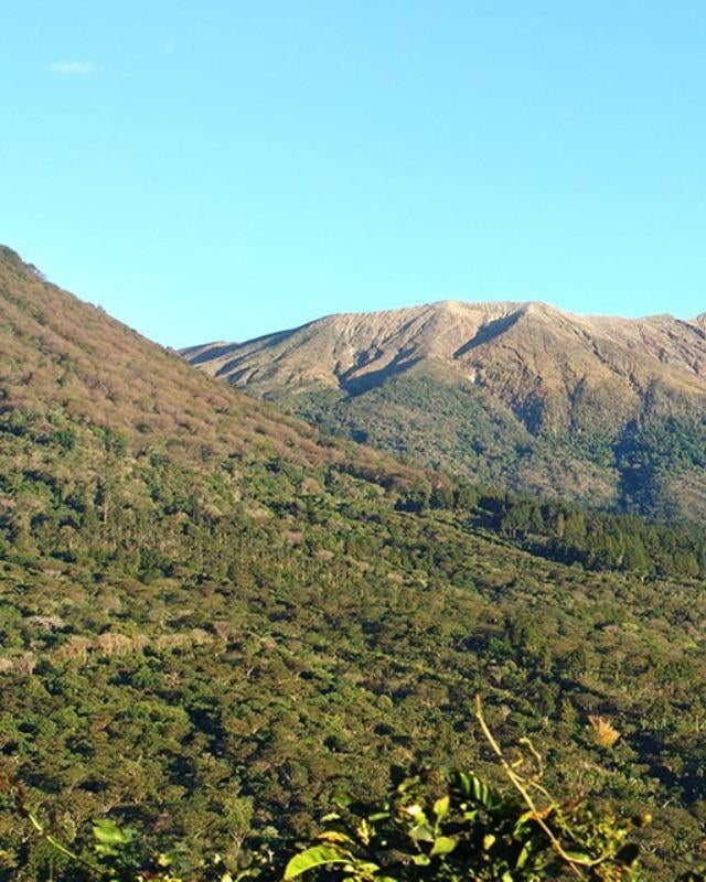 El Salvador / La Esperanza / Heirloom Natural