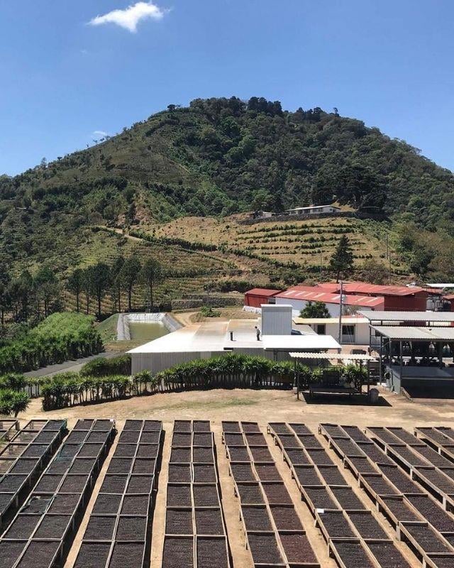 El Salvador / Los Pirineos Bundle