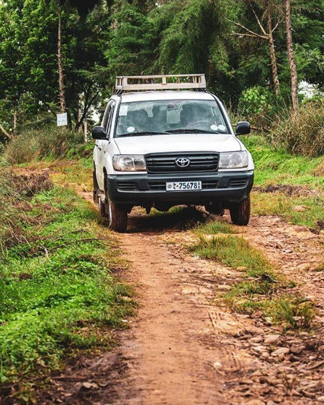Ethiopia / Gera Farm / Washed