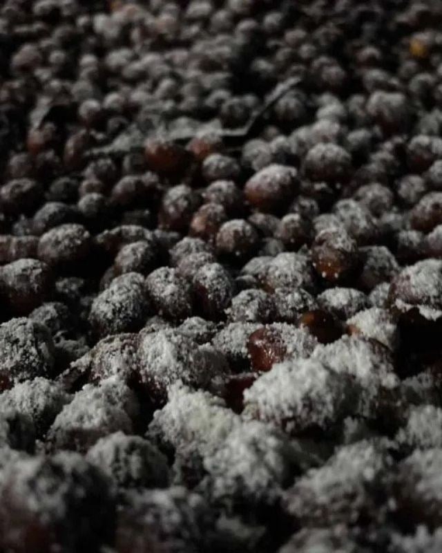 Ethiopia / Hambela Bella / Koji Natural