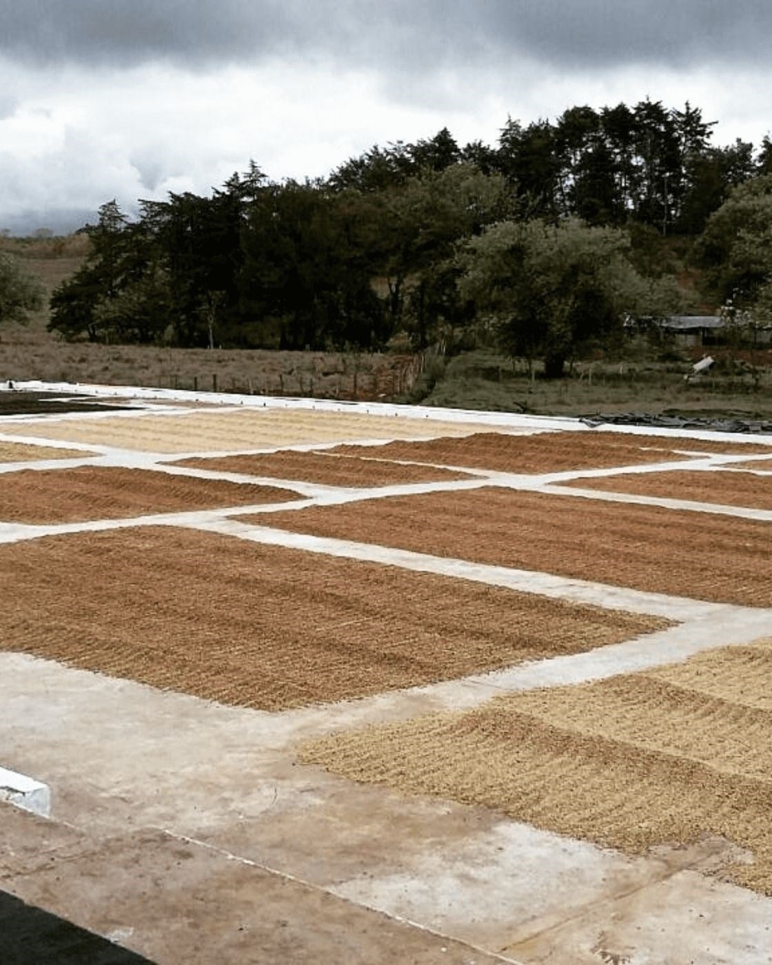 Guatemala / Nueva Oriente / Natural
