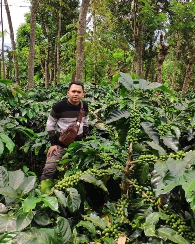 Indonesia / Argopuro / Natural Anaerobic