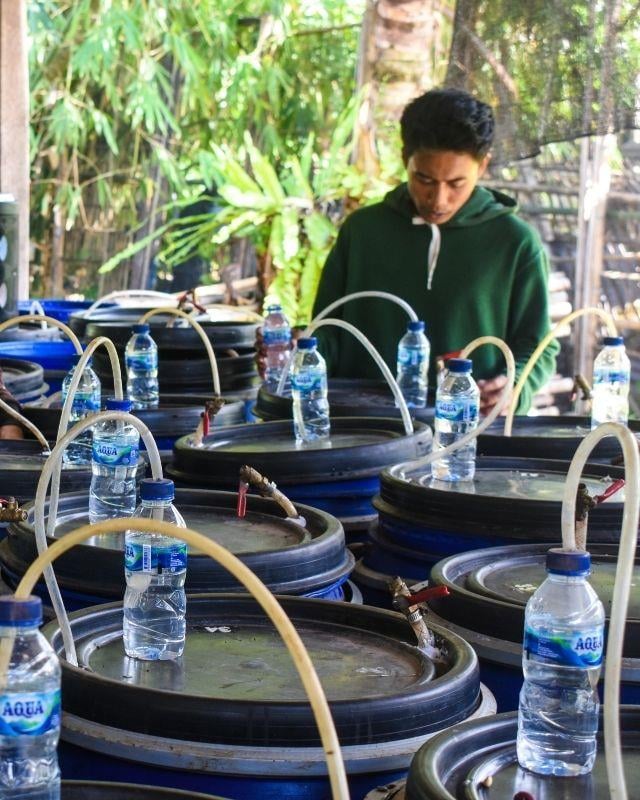 Indonesia / Ijen Lestari / Carbonic Maceration Natural
