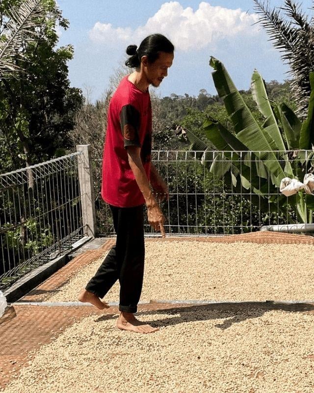 Indonesia / Prau / Double Fermentation Exotic Washed 