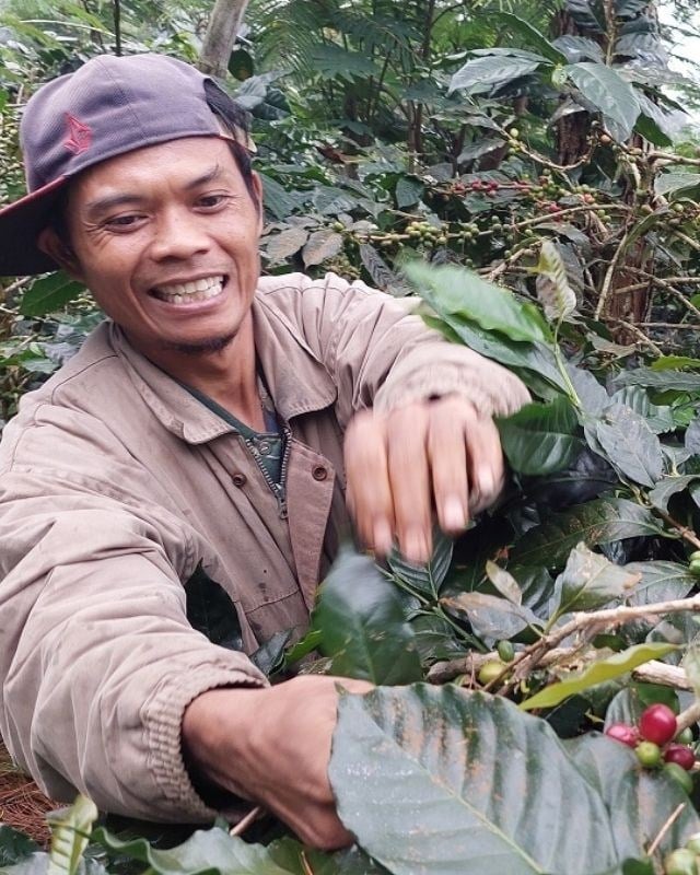 Indonesia / Walida Estate / Hermetic Sealed Natural