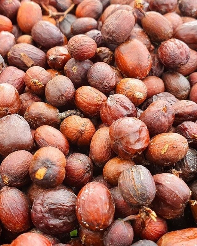 Indonesia / Walida Estate / Hermetic Sealed Natural