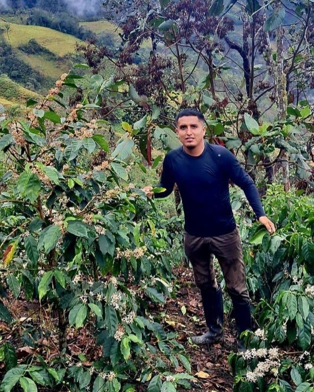 Peru / Aromas Del Valle / Washed