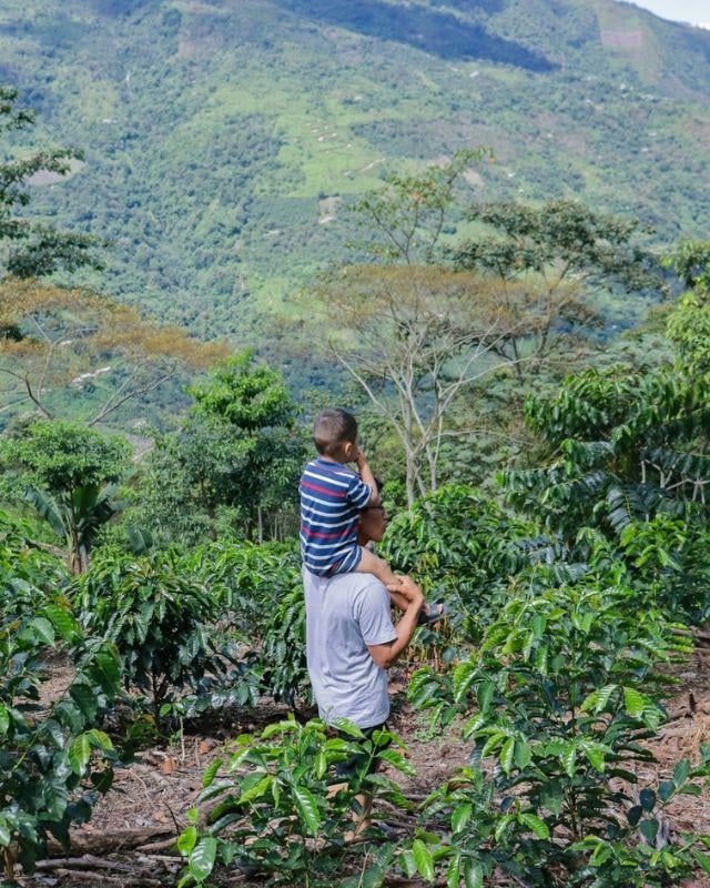 Peru / Aromas Del Valle / Washed