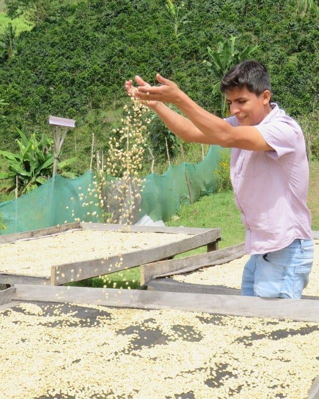 Peru / Aromas Del Valle / Washed