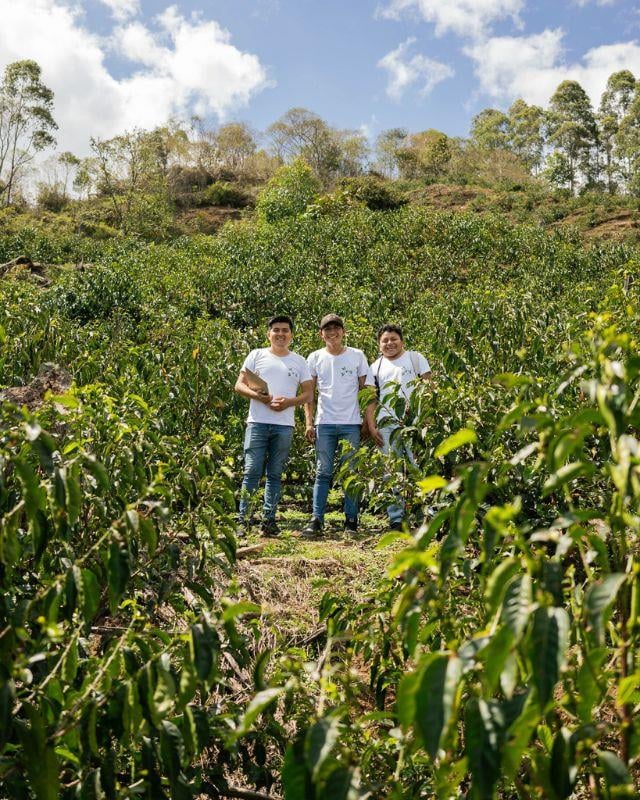 Peru / Aromas Del Valle / Washed