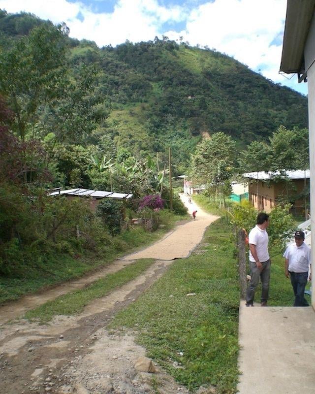 Peru / Cenfrocafe / Water Decaf