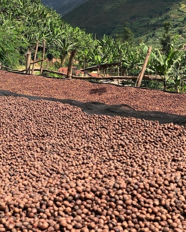 Rwanda / Akagera / Natural