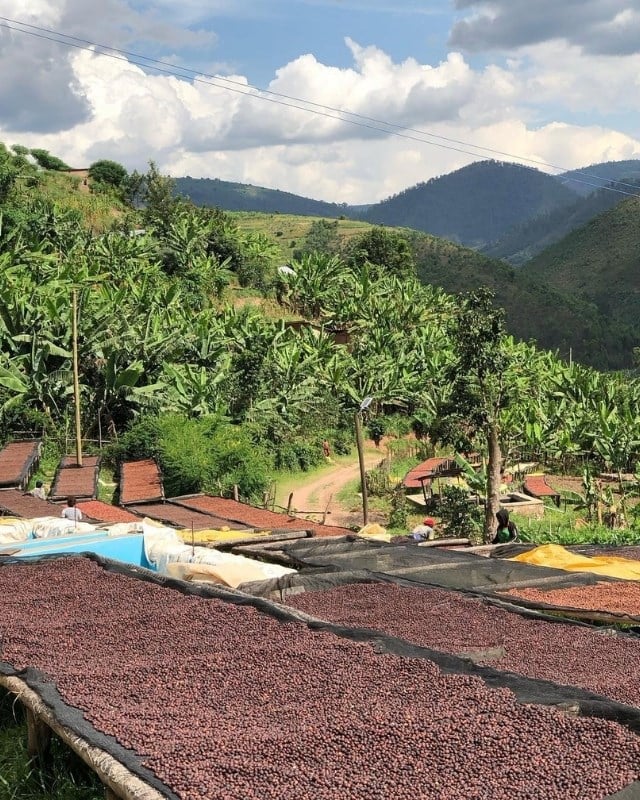 Rwanda / Akagera / Natural