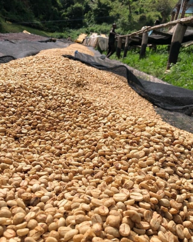 Rwanda / Akagera / Washed