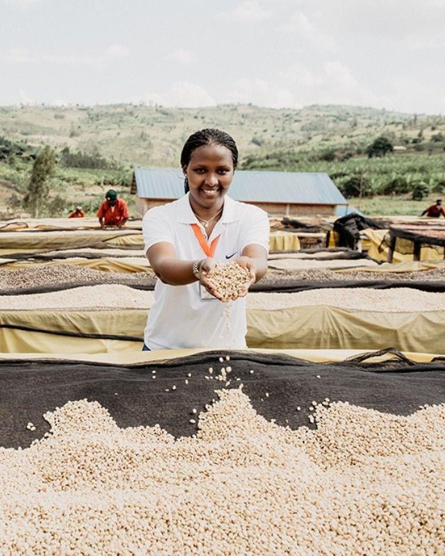 Rwanda / Gisanga / Washed