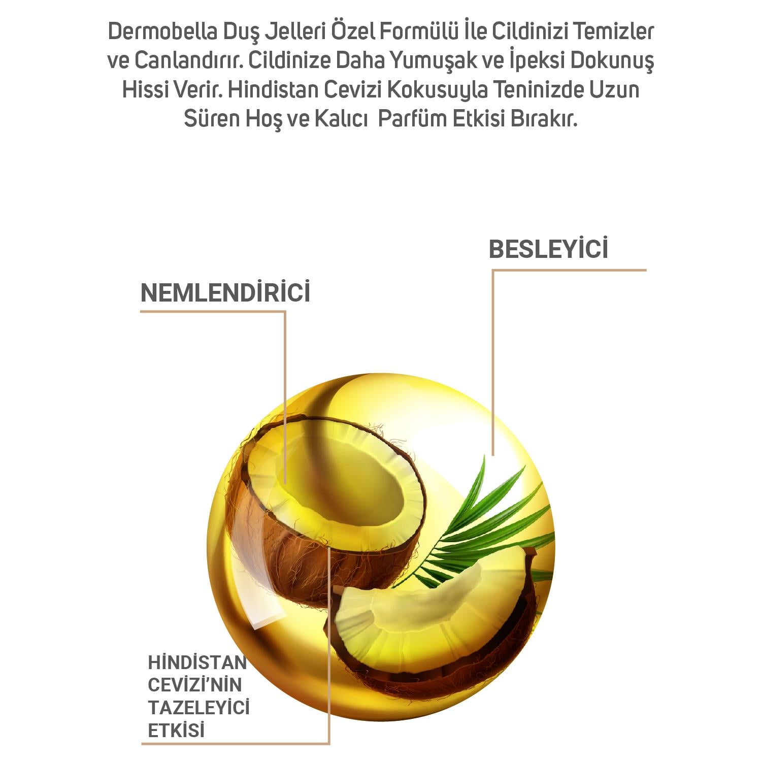 Dermobella Coconut Shower Gel 500Ml