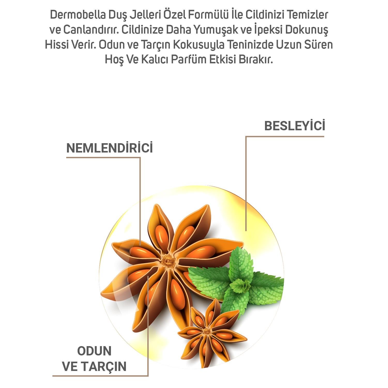 Dermobella Dark Spice Woody Fragrant Shower Gel 500Ml