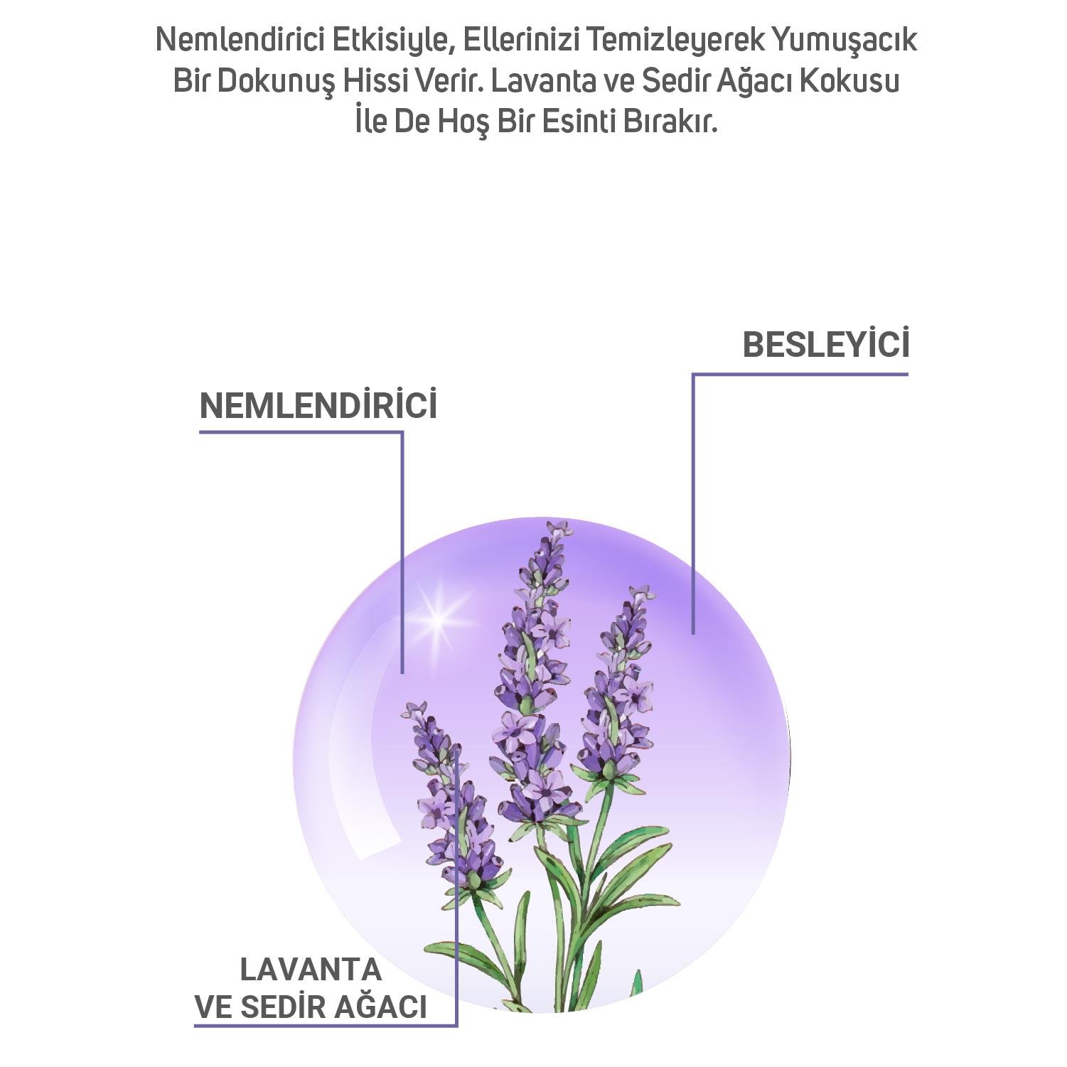 Dermobella Lavander And Cedar Liguid Soap 500Ml