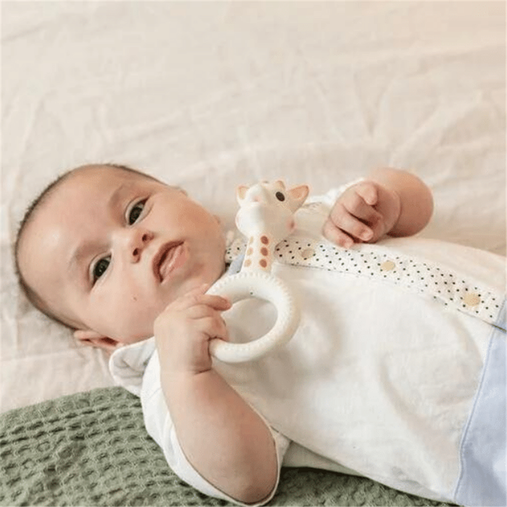 Sophie la Girafe So Pure Sophie Halka Diş Kaşıyıcı