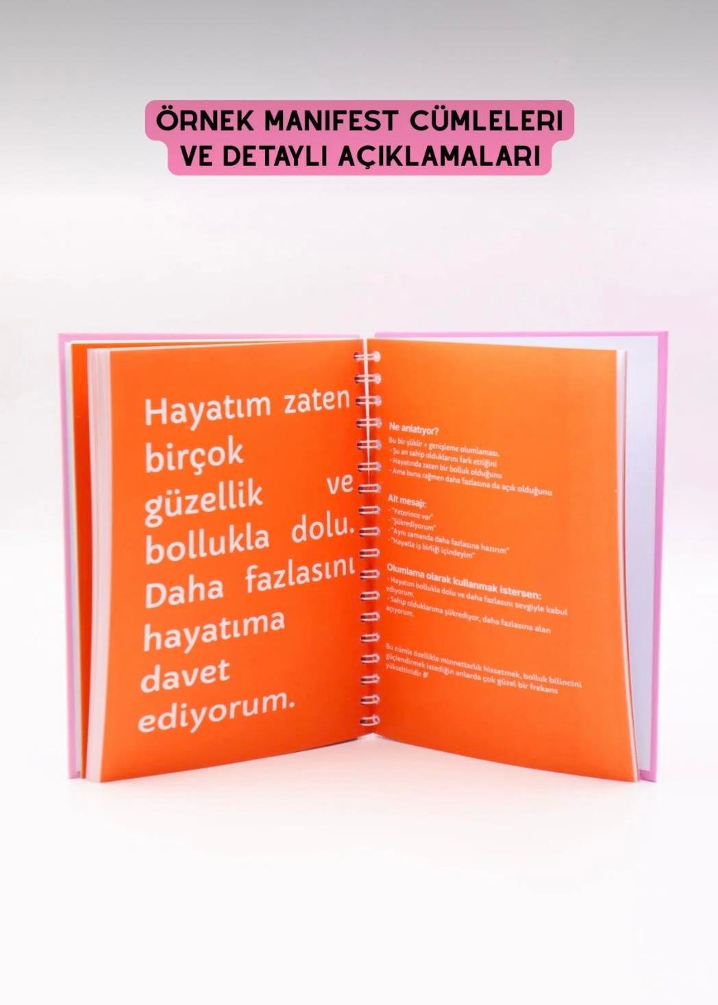 Manifest Günlüğü Ajanda Yeşil
