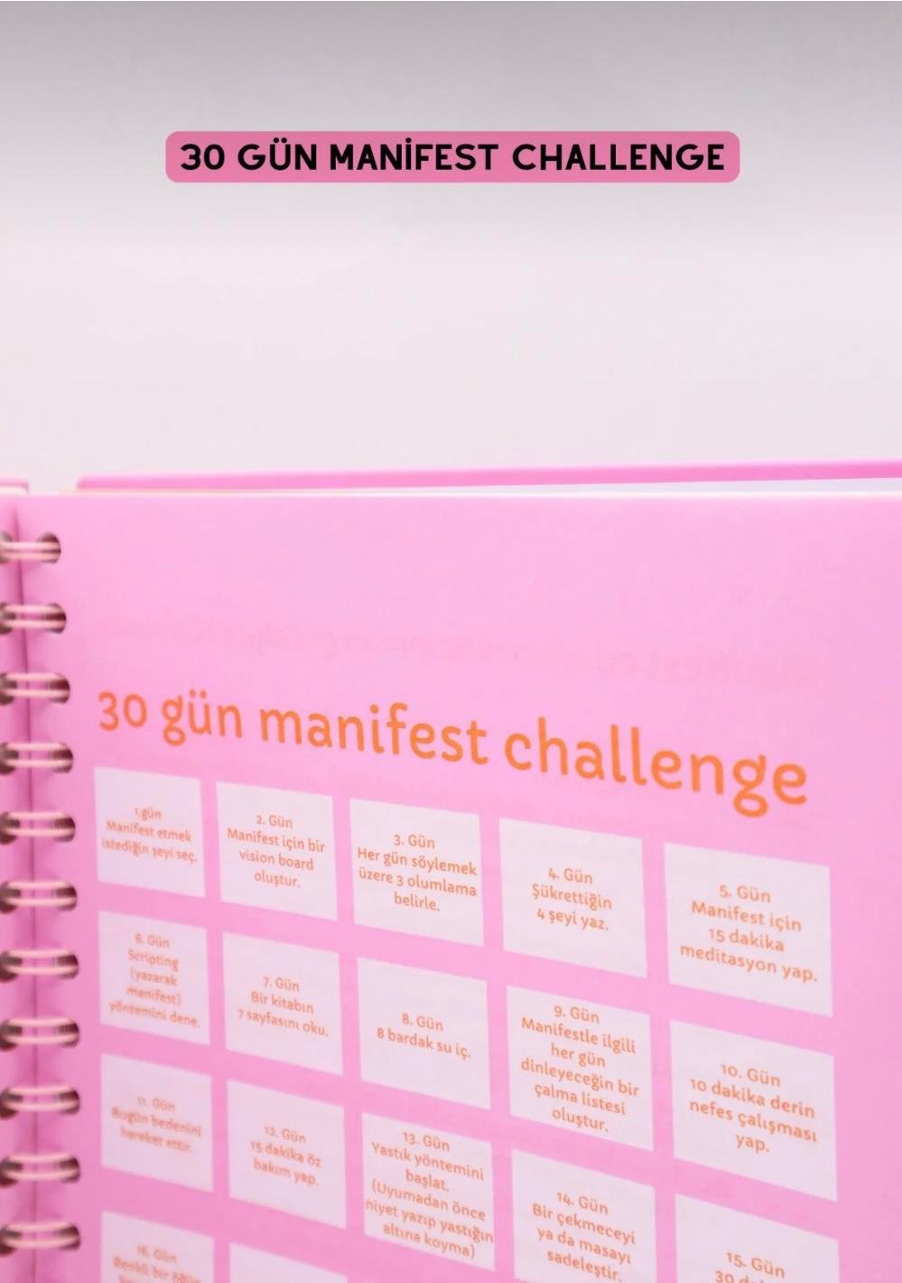 Manifest Günlüğü Ajanda Yeşil