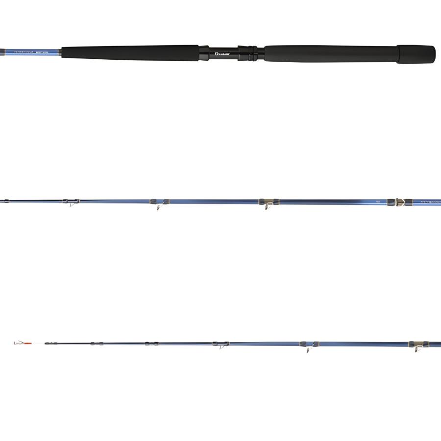 Daiwa Tanacom 1.80m 150-800gr 2P Bot KamışıDAİWA