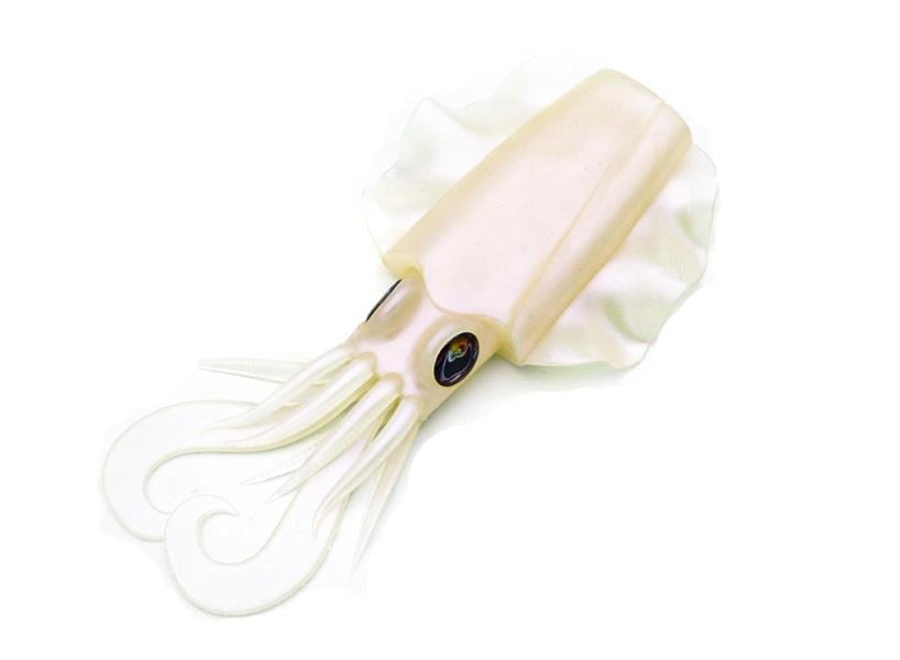 JLC Jigging A La Carta Xoco Body Replacement #2 Pink Flashes