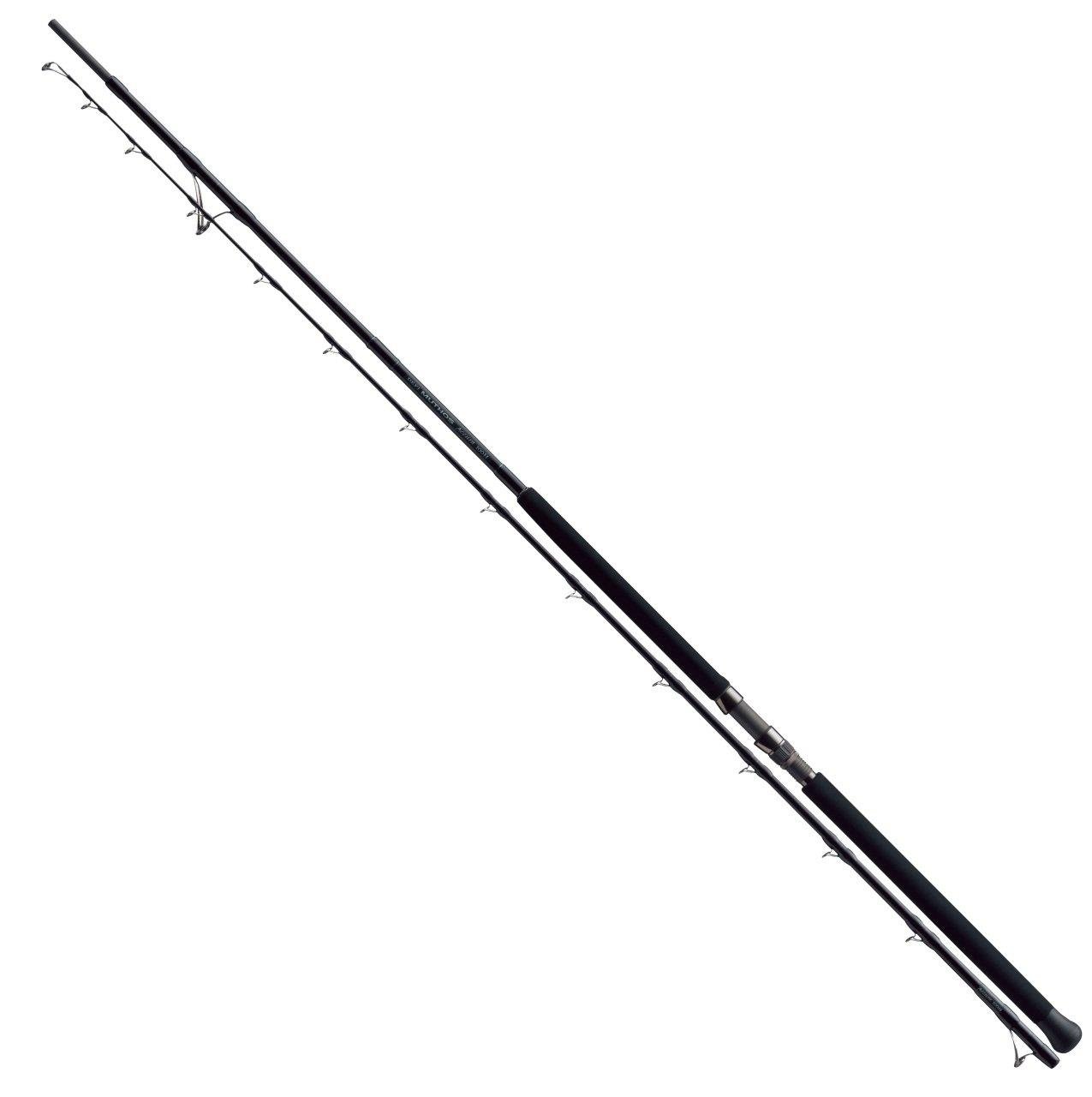 Zenaq Defi Muthos Sonio 100M RG 305cm 10-100gr Shore Jigging Kamışı