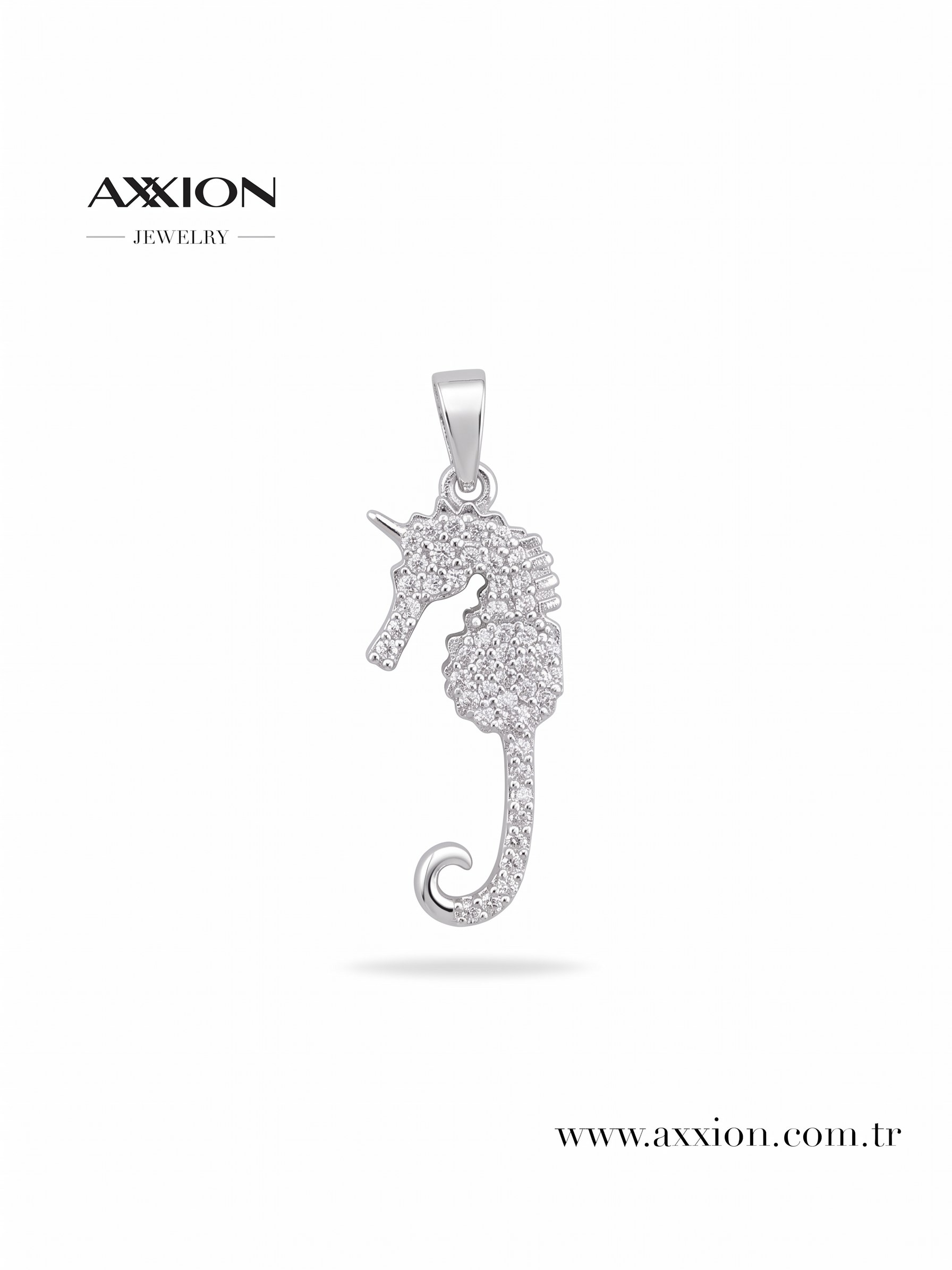 AXXION Kolye Ucu SILVER