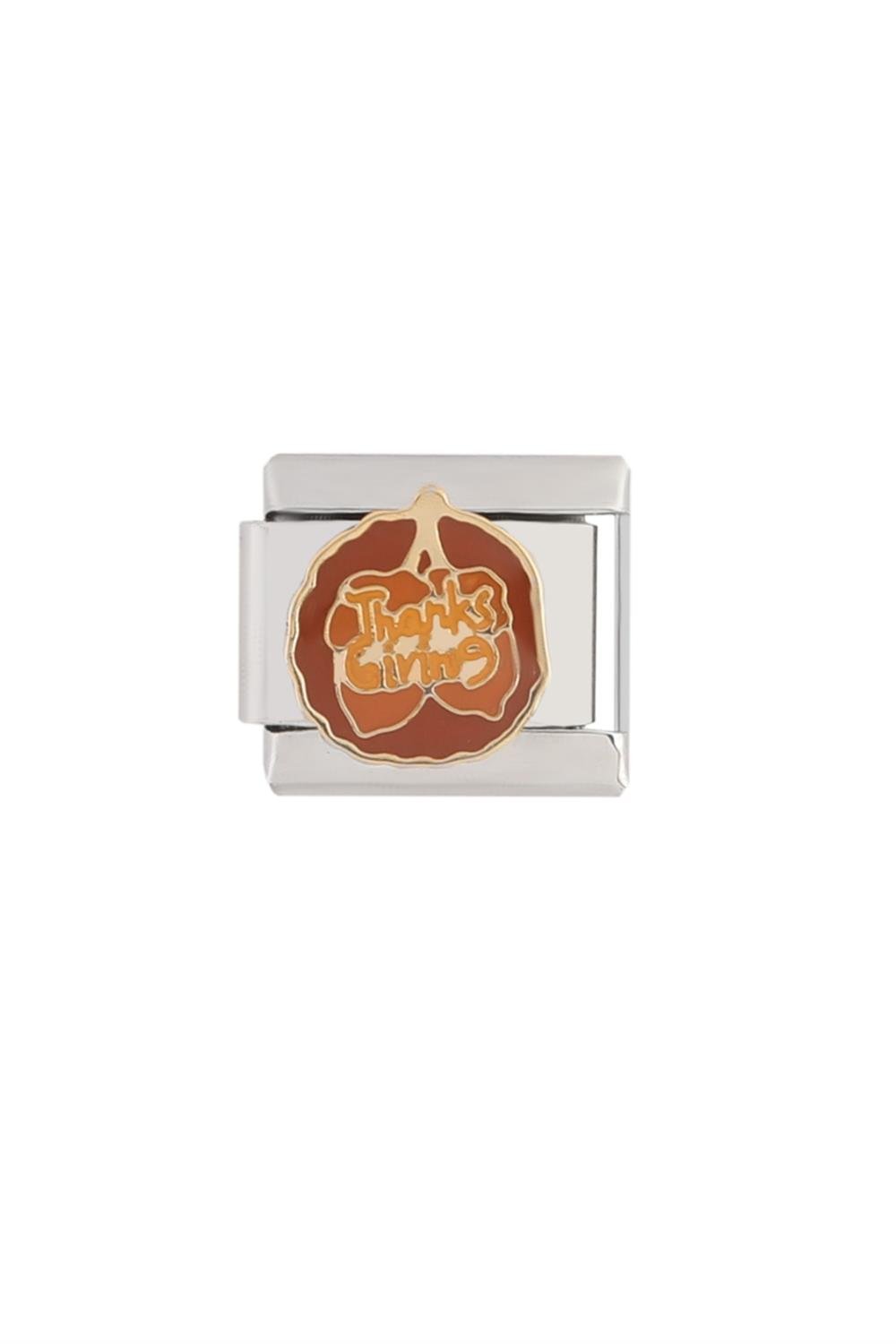 Çelik Charm