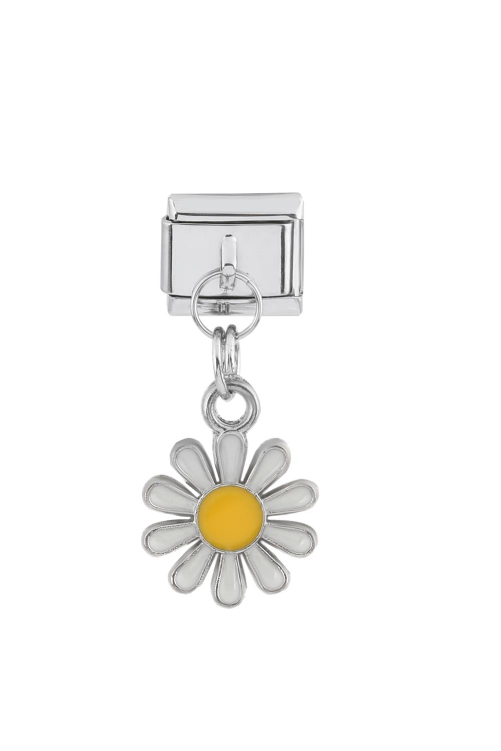 Çelik Charm