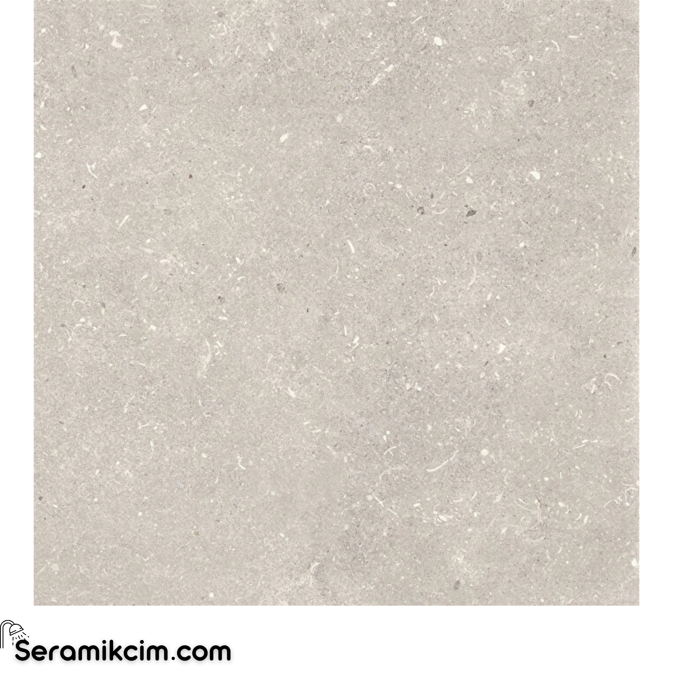80X80 Stoneart Açık Gri R11 20mm 5R