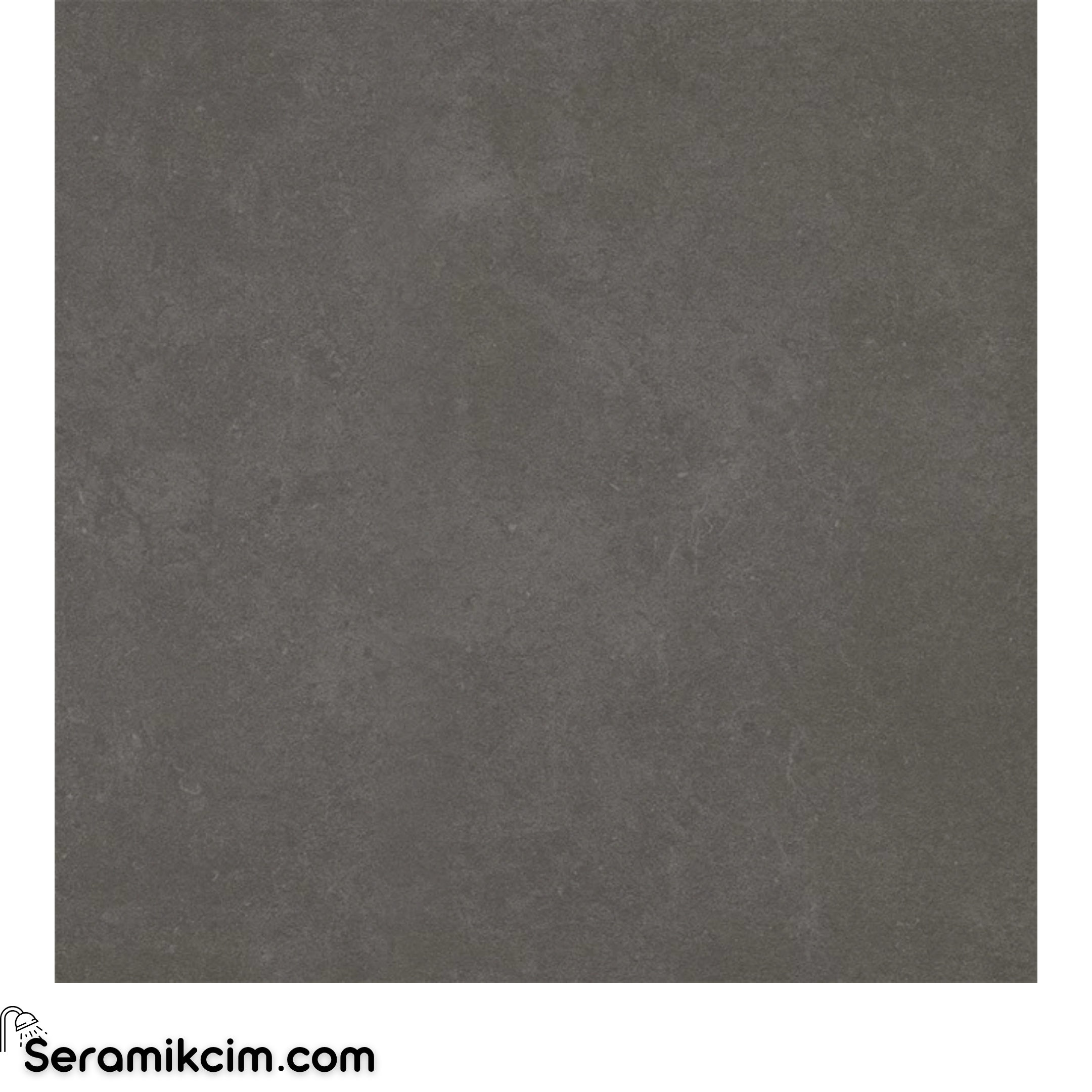 Çanakkale Seramik Cment Antrasit Mat 59x59R