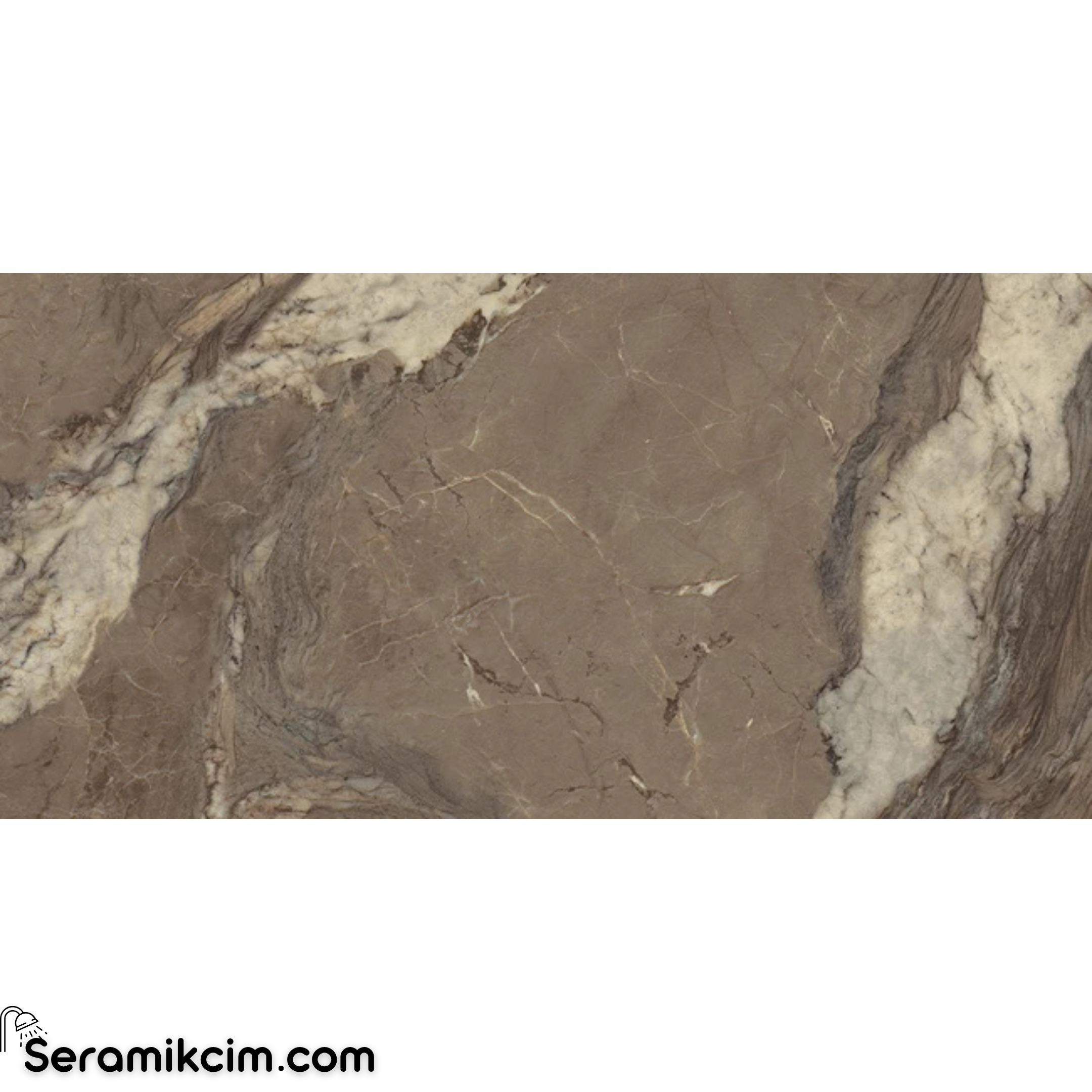 Çanakkale Seramik Gmb-R1393 Berry Brown Marble Mat -T 60X120