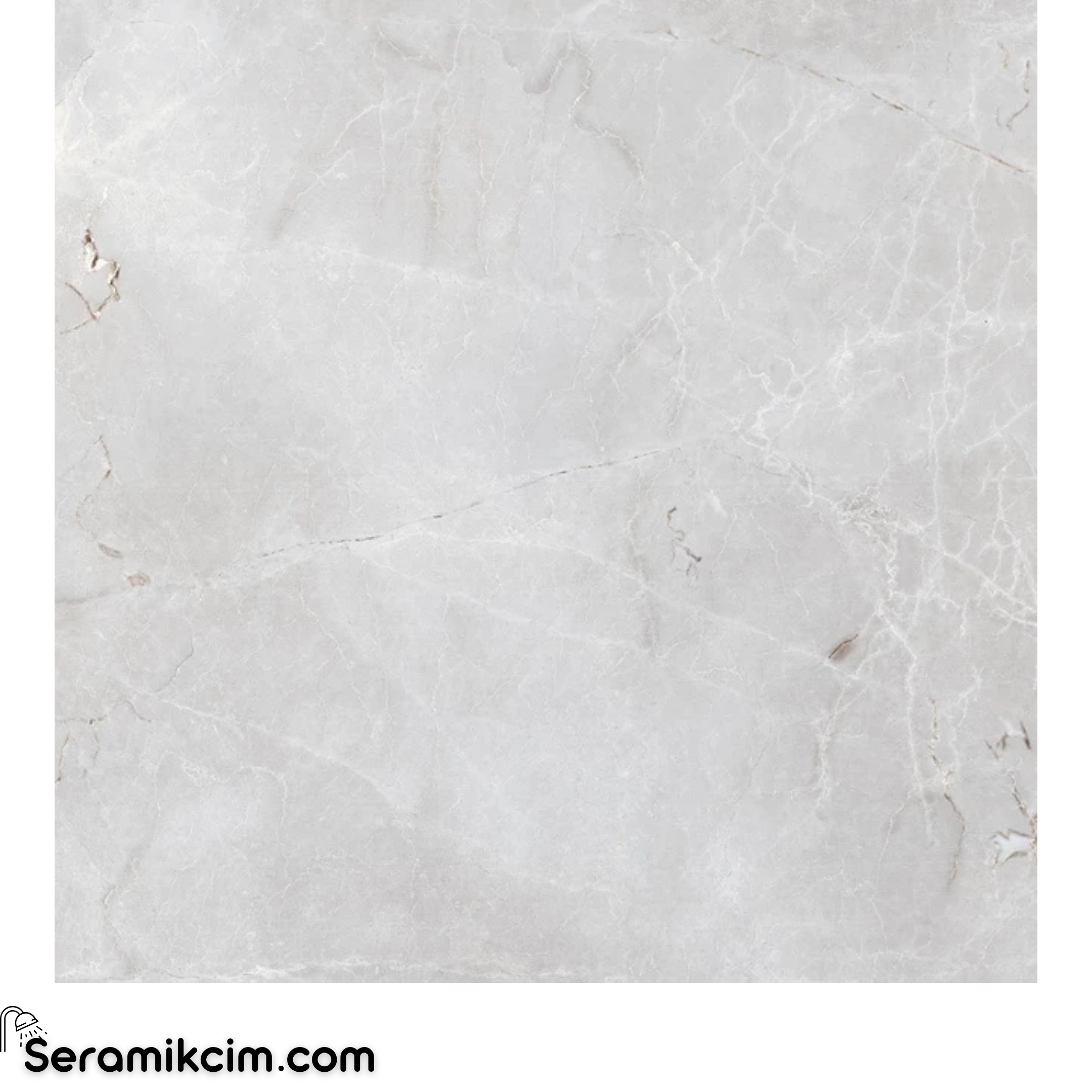 Çanakkale Seramik Gs-D8001 R Asteya Gri 59X59 R