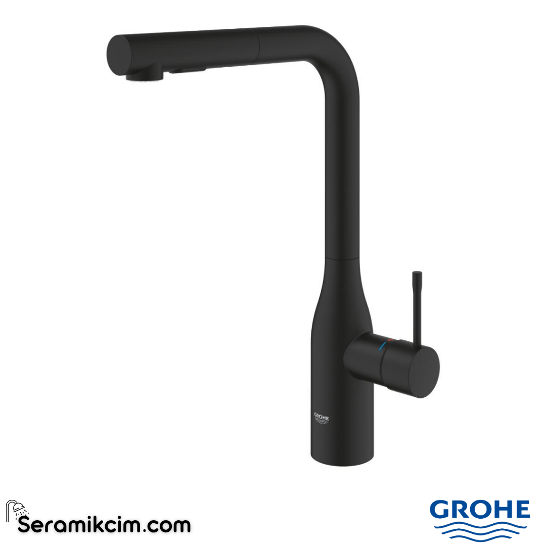 Grohe Essence OHM sink L-spout Dual Spray 30504KF0