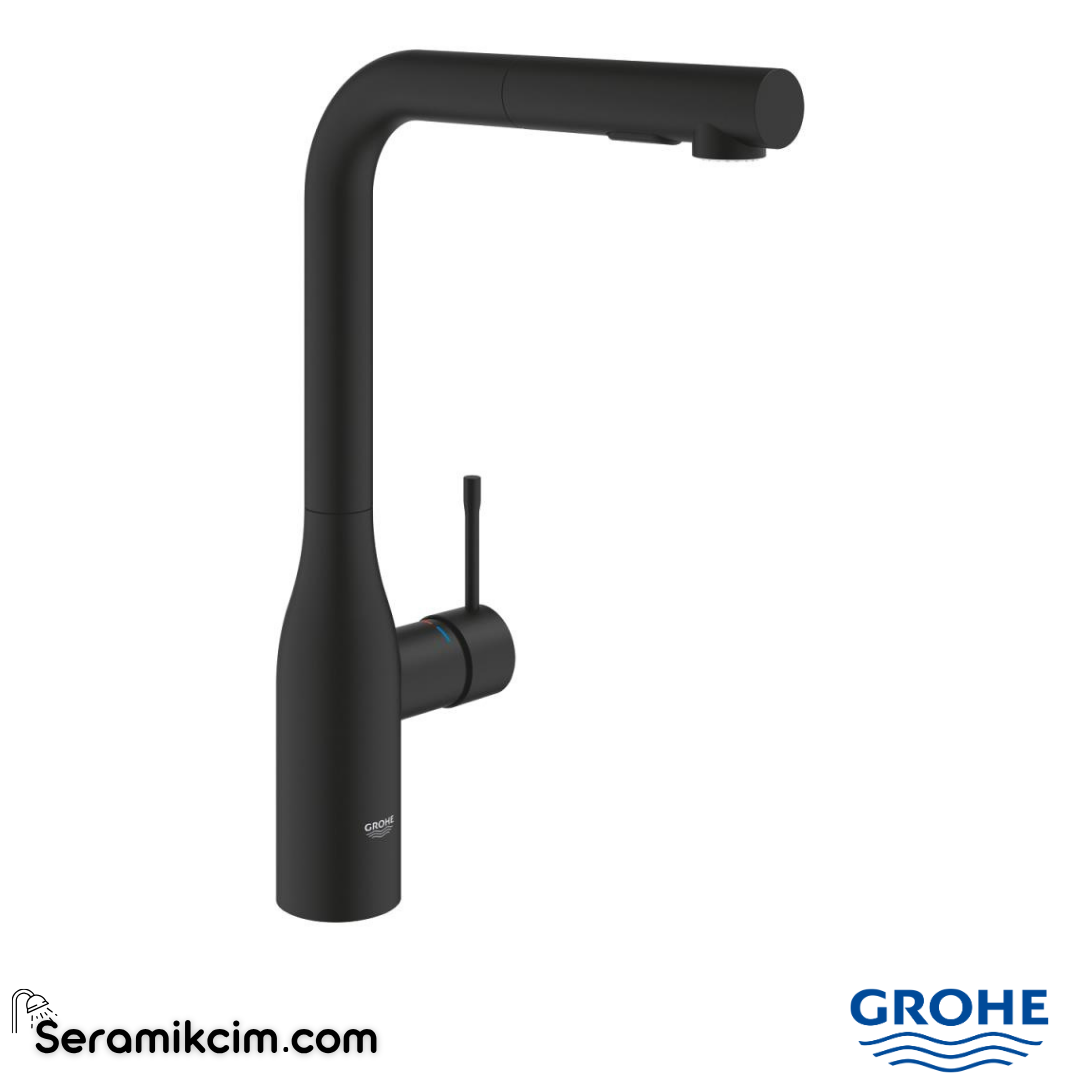 Grohe Essence OHM sink L-spout Dual Spray 30504KF0