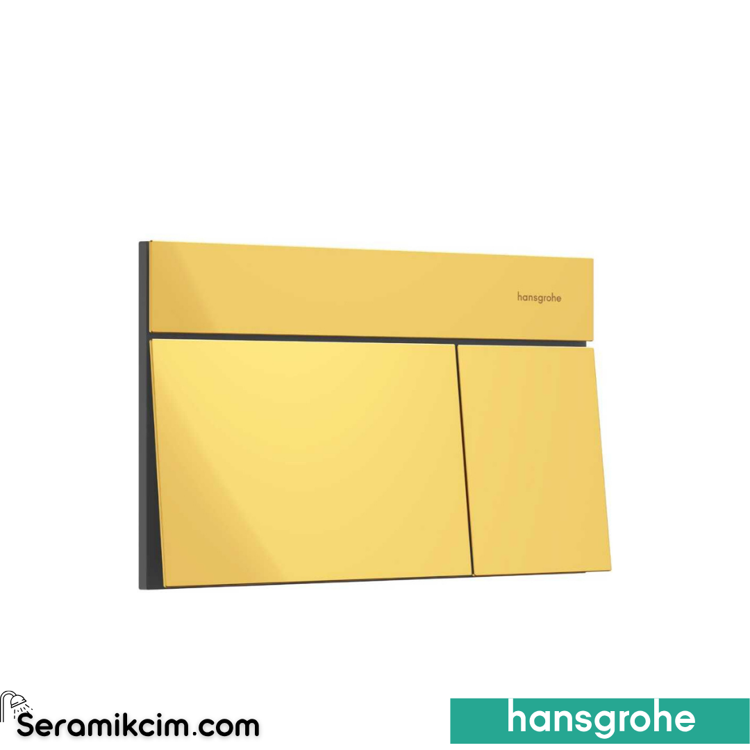 Hansgohe iFrame Element E Kumanda Kapağı Parlak Altın 66003990