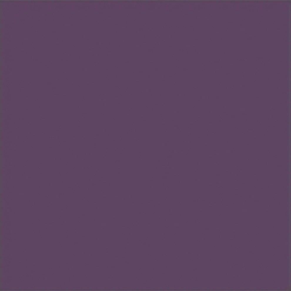 Vitra 20X20 Ral 2904015 Mat Nr