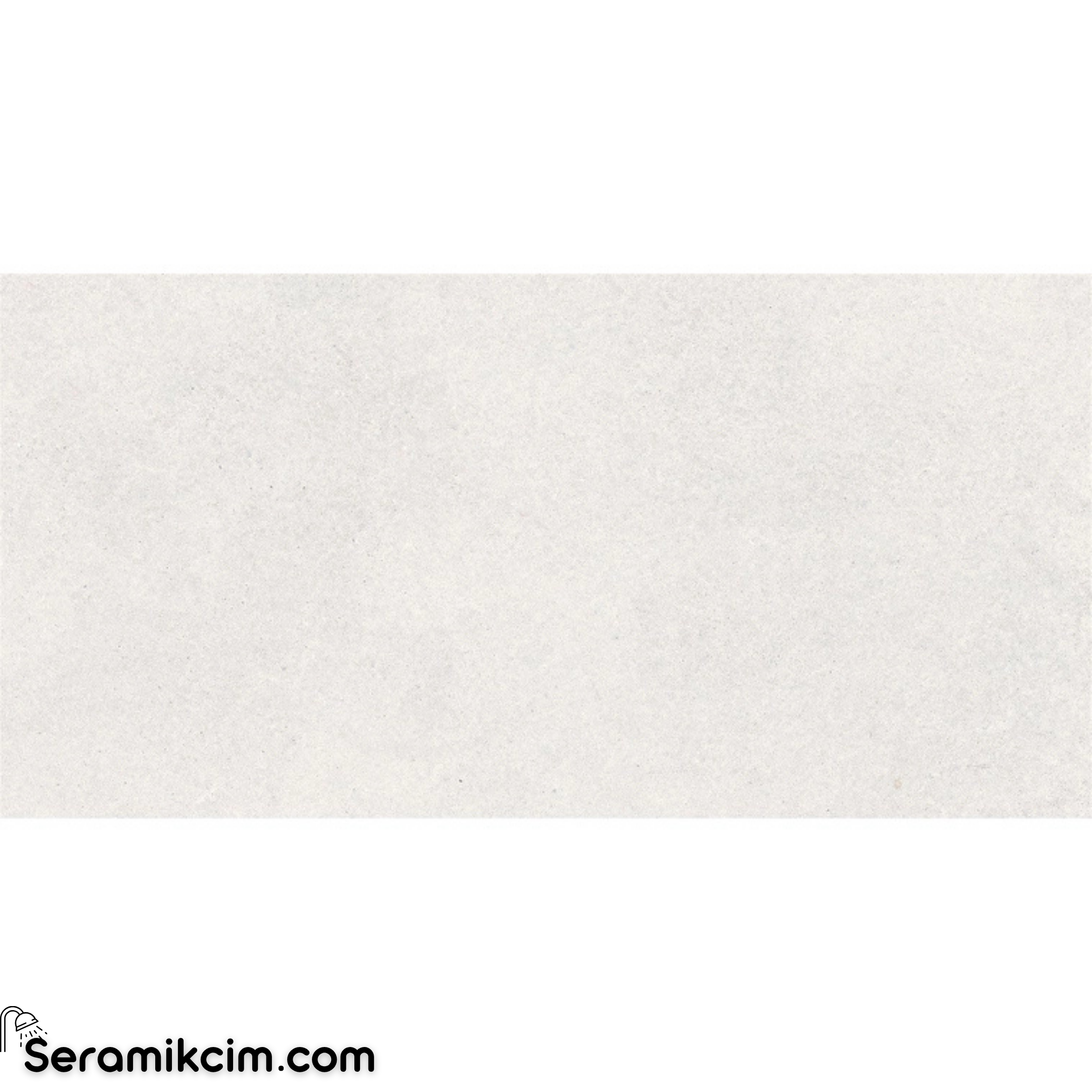 VitrA 60X120 Noblestone Açık Gri R10B K958099R0001VTSP