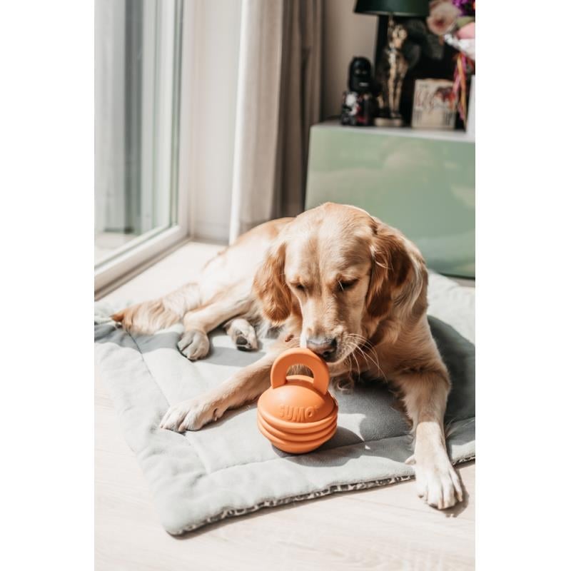 Beeztees Sumo Kettlebell (Girya) Ödül Hazneli Diş Bakımı Köpek Oyuncağı 16 Cm