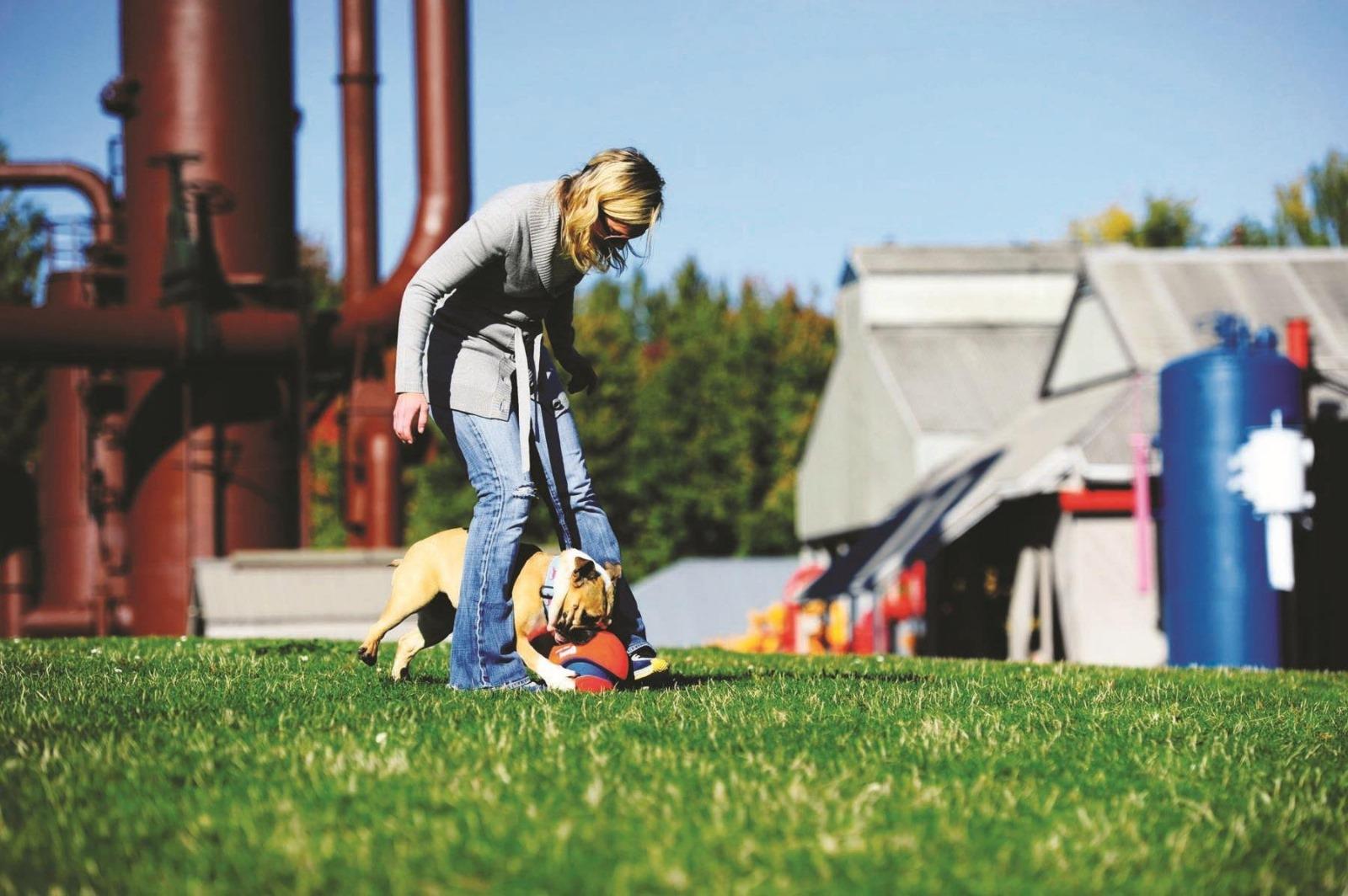 Chuckit! Kick Fetch Oyun Topu