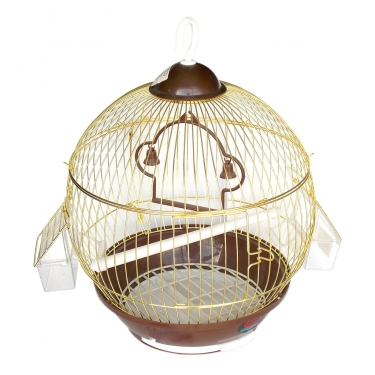 Dayang Dünya Kafes Orta 29x35