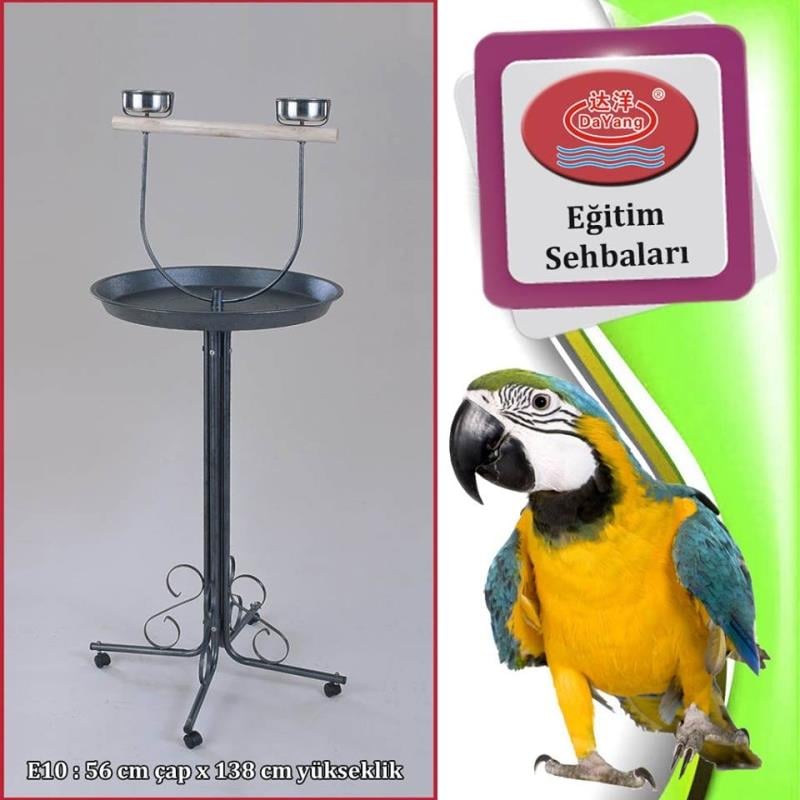 Dayang Papağan Eğitim Sehpası Siyah 56x138 Cm