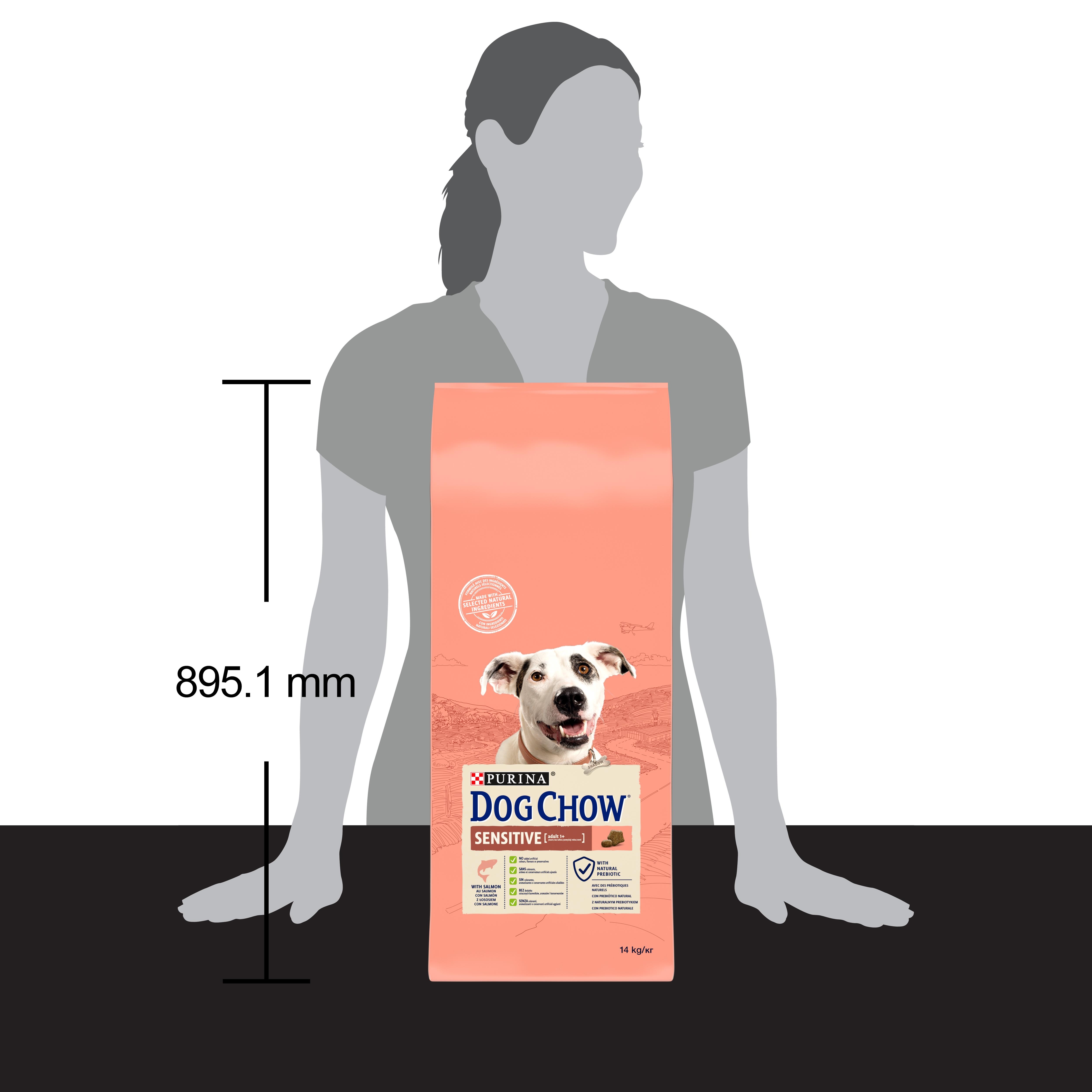 Dog Chow Sensitive Somonlu Yetişkin Köpek Maması 14 Kg