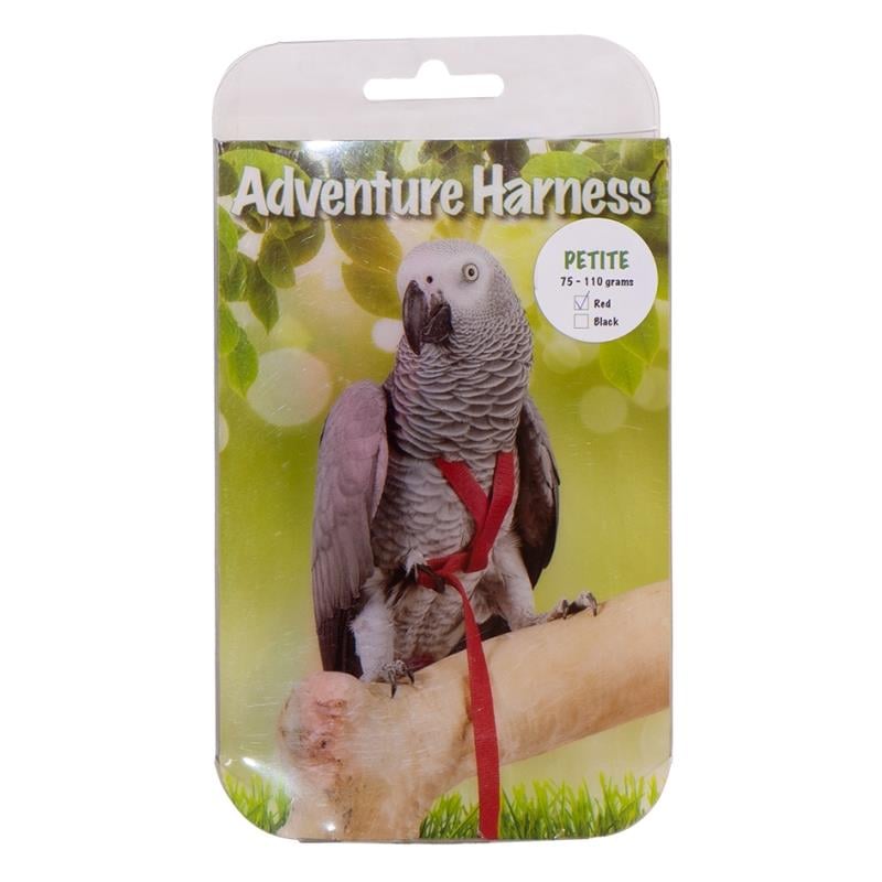 Eastland Kuş Göğüs Tasma Xxs 6,5x25x125 Cm