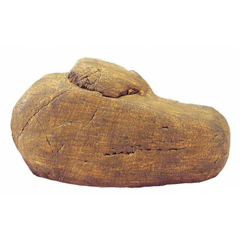 ExoTerra Reptile Den Orta Boy Sürüngen Yuvası