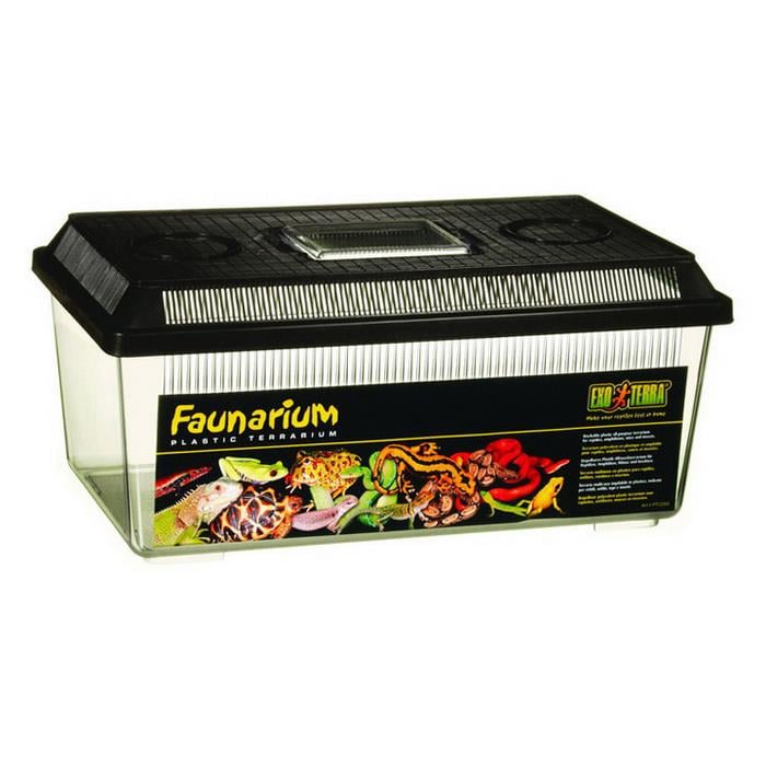 ExoTerra Sürüngen Bahçesi Orta